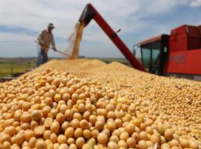 Plano Safra terá R$ 225,59 bilhões em créditos para agricultores