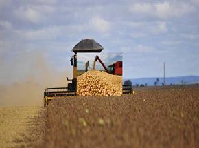 Faltarão recursos para máquinas agrícolas