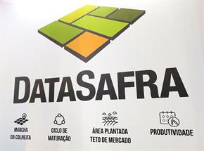 DataSafra fornece dados da safra atual e das anteriores