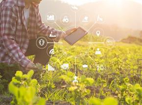Sudeste concentra dois terços das startups do agronegócio no Brasil