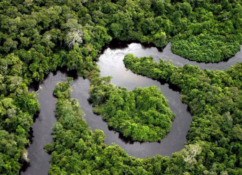 COP30 deve trazer mineração na Amazônia ao centro do debate