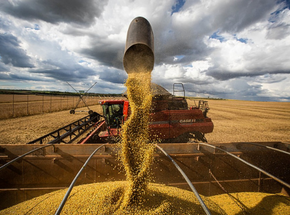 Aumento dos combustíveis pode impactar custos da agropecuária
